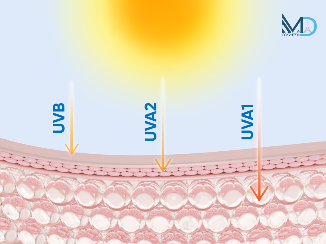 Tác động của tia UVA1 lên làn da