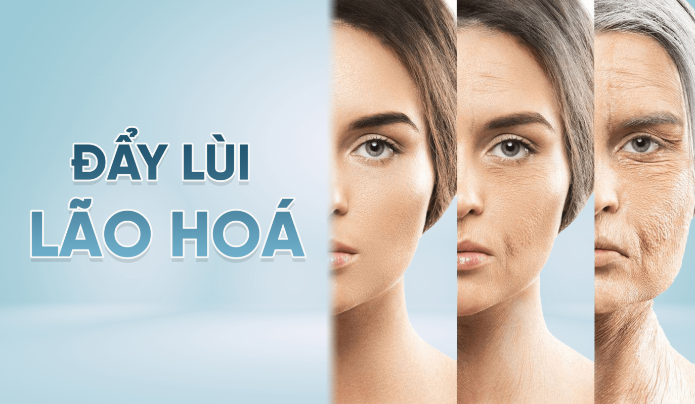 Đẩy lùi lão hoá